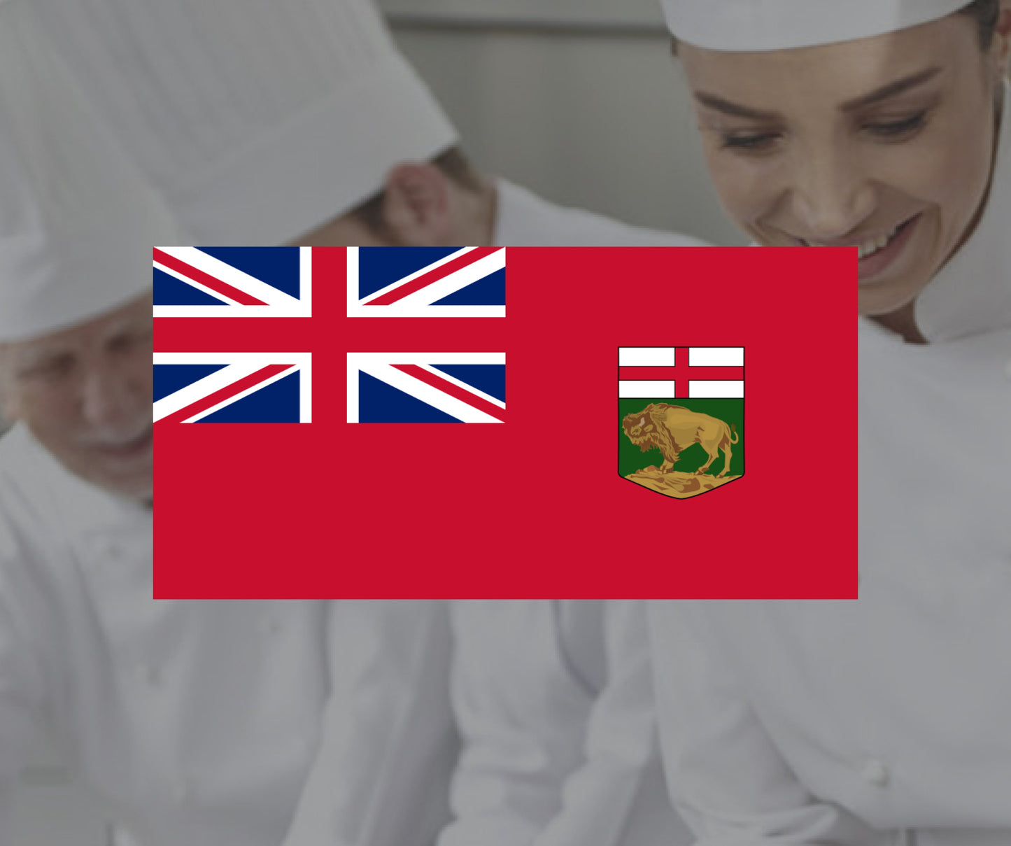 FOOD HANDLER CERTIFICATE MANITOBA - SINGLE