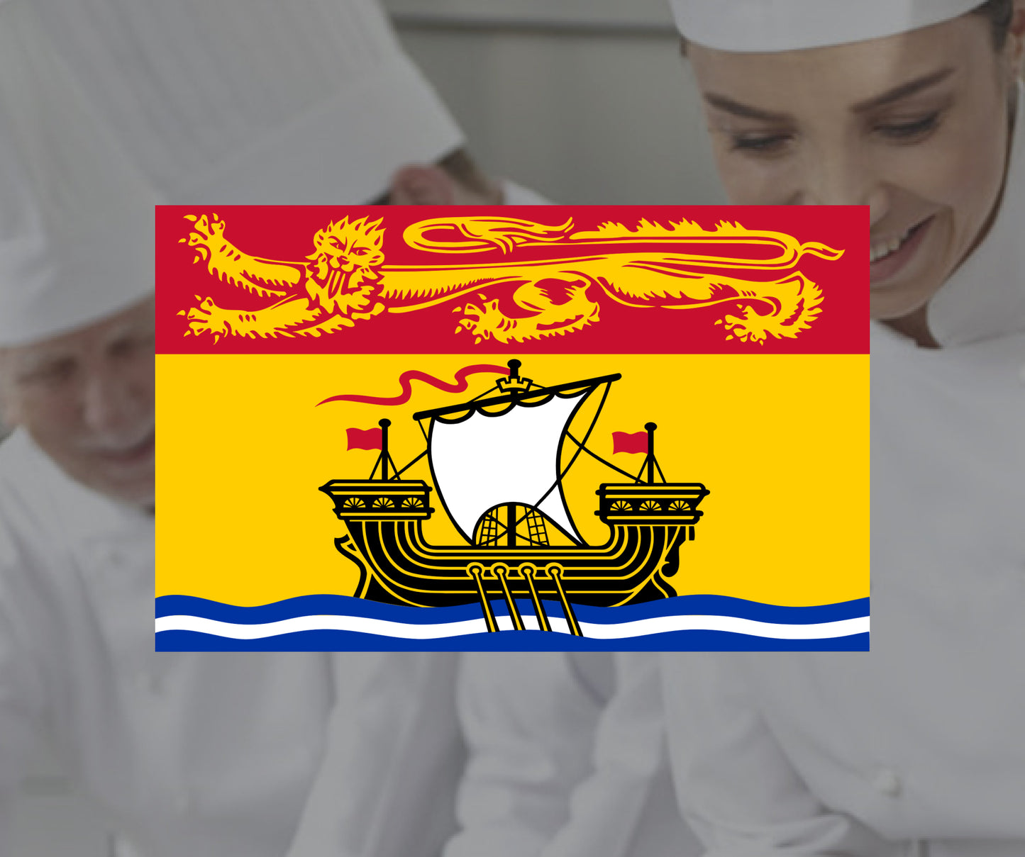 FOOD HANDLER CERTIFICATE NEW BRUNSWICK - BULK