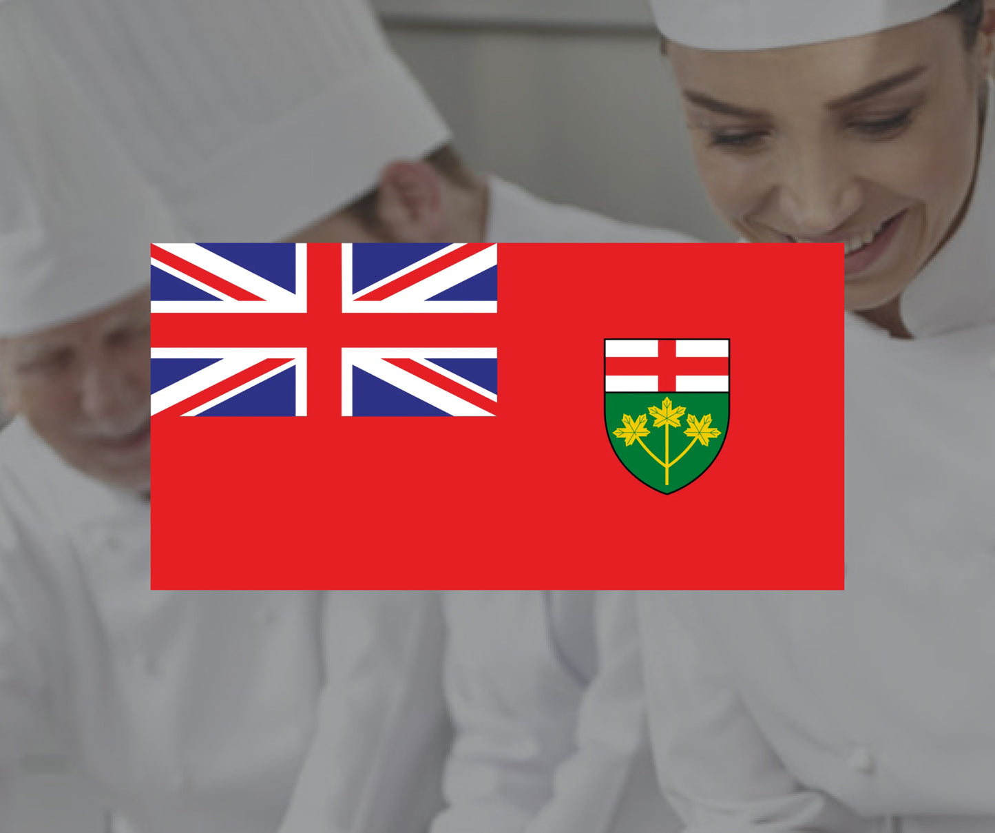 FOOD HANDLER CERTIFICATE ONTARIO - SINGLE