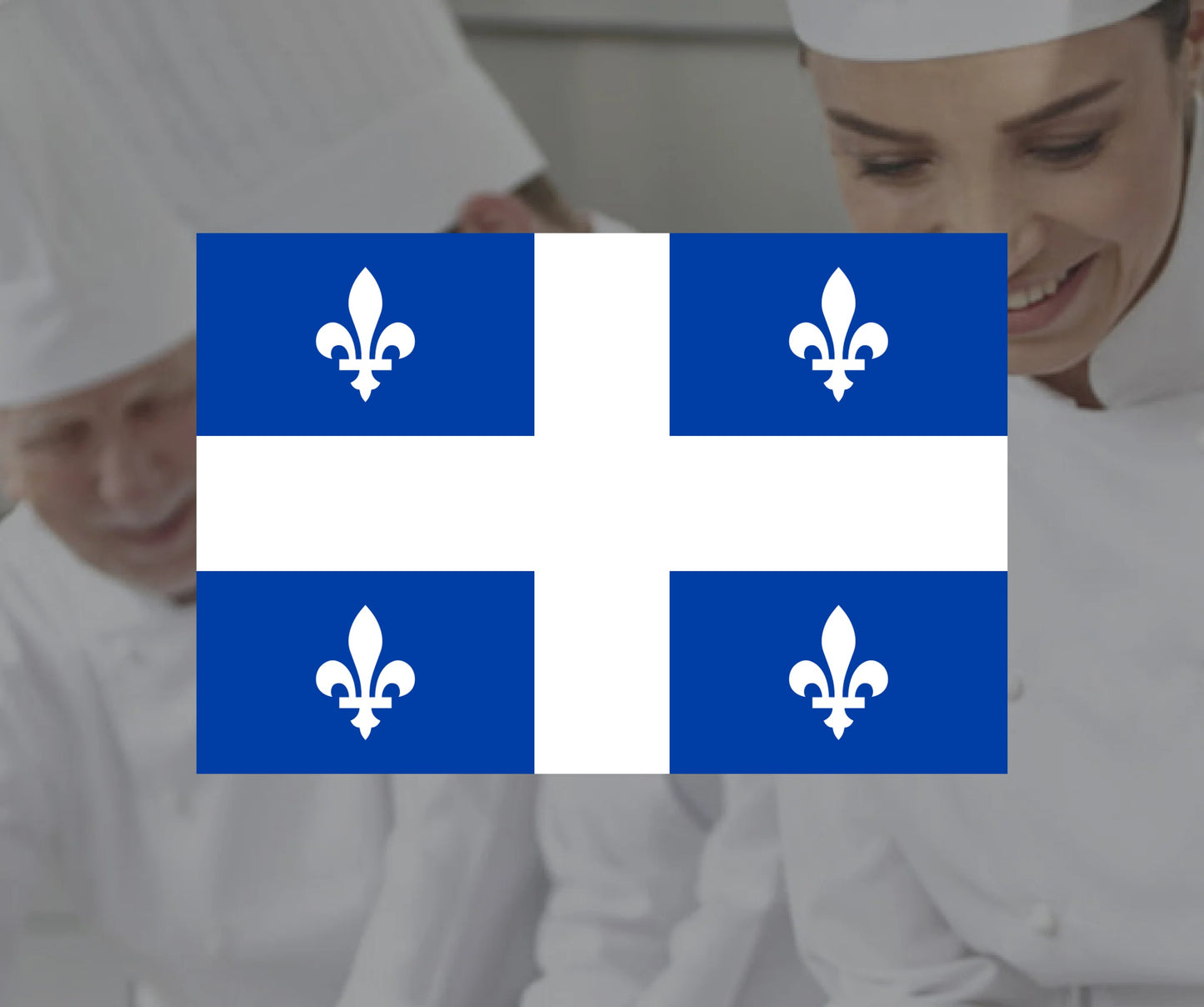 FOOD HANDLER CERTIFICATE QUEBEC - SINGLE